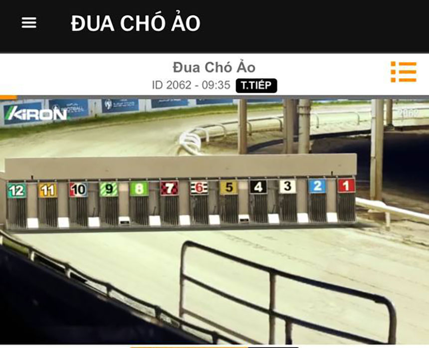 ca-cuoc-dua-cho-ao-v9bet